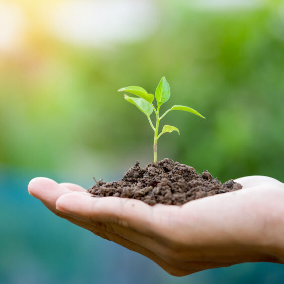 Our sustainable packaging vision.
